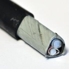 АВББШВнг 2Х10,0