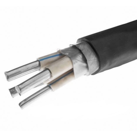 АВББШВнг 3Х10,0+1Х6,0